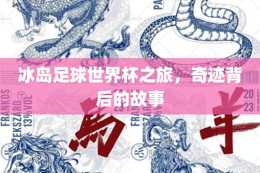 冰岛足球世界杯之旅，奇迹背后的故事