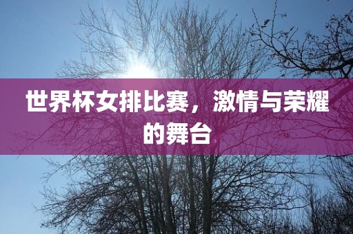 世界杯女排比赛，激情与荣耀的舞台
