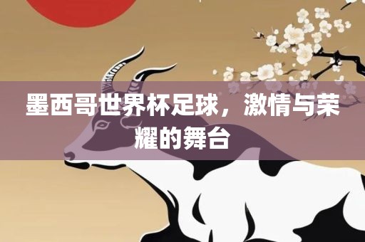 墨西哥世界杯足球，激情与荣耀的舞台