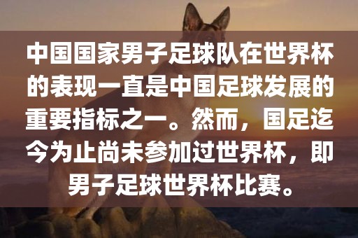 中国国家男子足球队在世界杯的表现一直是中国足球发展的重要指标之一。然而，国足迄今为止尚未参加过世界杯，即男子足球世界杯比赛。