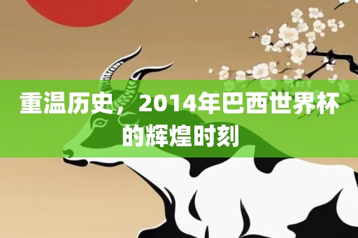 重温历史，2014年巴西世界杯的辉煌时刻
