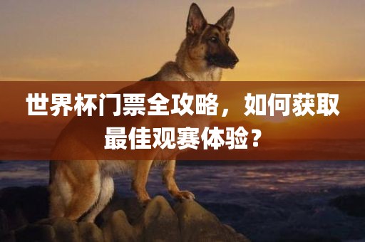 世界杯门票全攻略，如何获取最佳观赛体验？