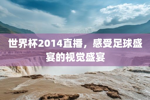 世界杯2014直播，感受足球盛宴的视觉盛宴