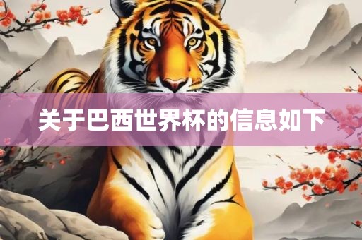 关于巴西世界杯的信息如下