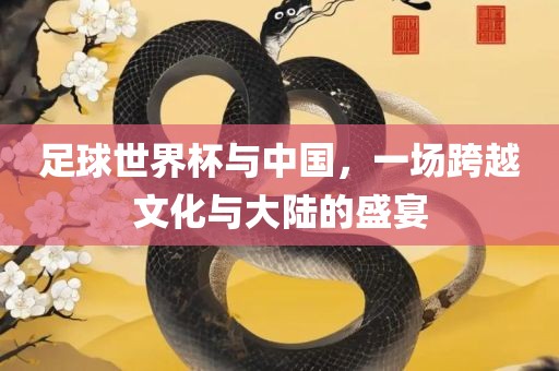 足球世界杯与中国，一场跨越文化与大陆的盛宴