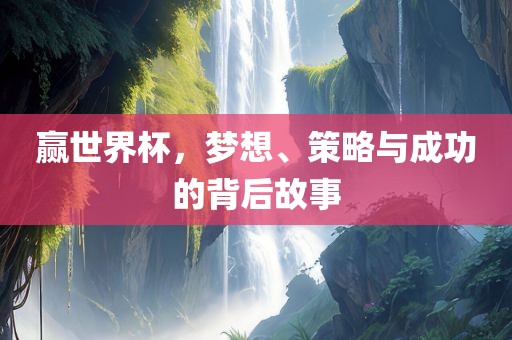 赢世界杯，梦想、策略与成功的背后故事