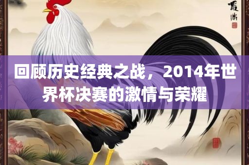 回顾历史经典之战，2014年世界杯决赛的激情与荣耀