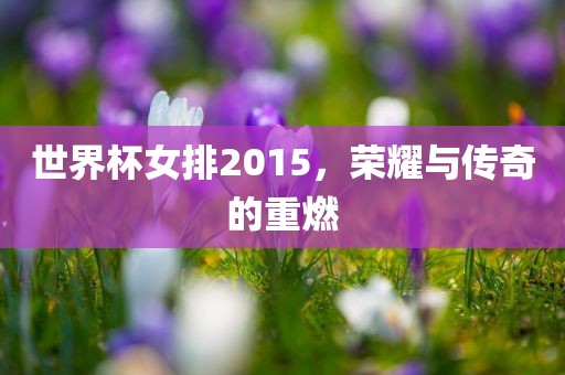 世界杯女排2015，荣耀与传奇的重燃