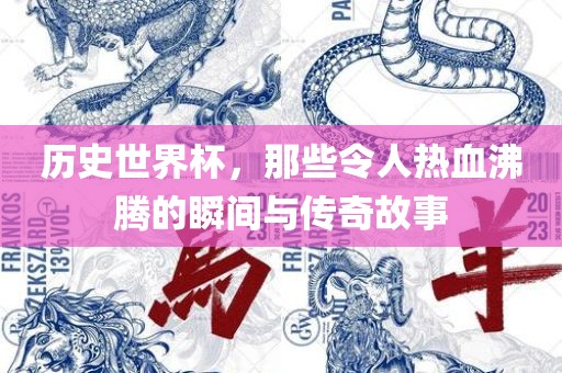 历史世界杯，那些令人热血沸腾的瞬间与传奇故事