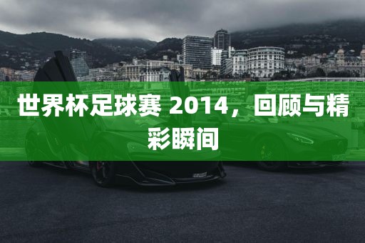 世界杯足球赛 2014，回顾与精彩瞬间