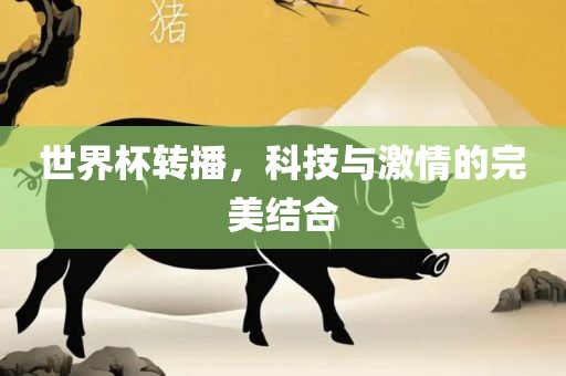 世界杯转播，科技与激情的完美结合