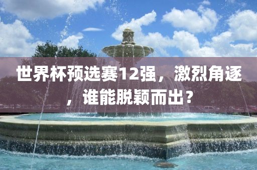 世界杯预选赛12强，激烈角逐，谁能脱颖而出？