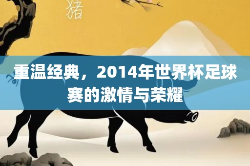 重温经典，2014年世界杯足球赛的激情与荣耀
