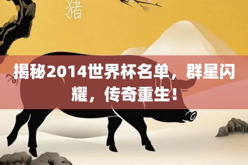 揭秘2014世界杯名单，群星闪耀，传奇重生！