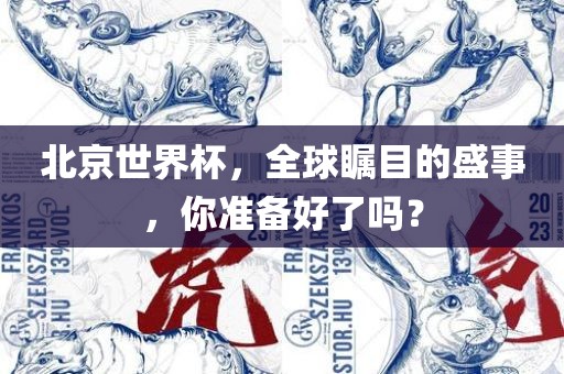 北京世界杯，全球瞩目的盛事，你准备好了吗？