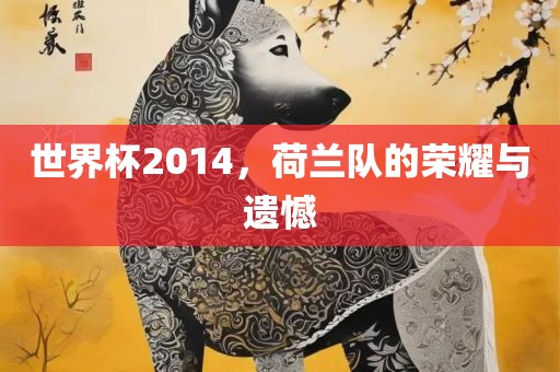 世界杯2014，荷兰队的荣耀与遗憾