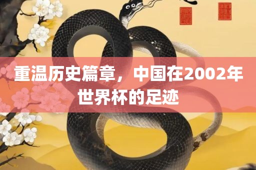 重温历史篇章，中国在2002年世界杯的足迹