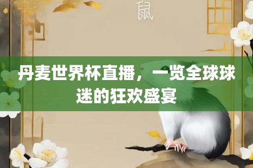 丹麦世界杯直播，一览全球球迷的狂欢盛宴