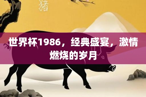 世界杯1986，经典盛宴，激情燃烧的岁月