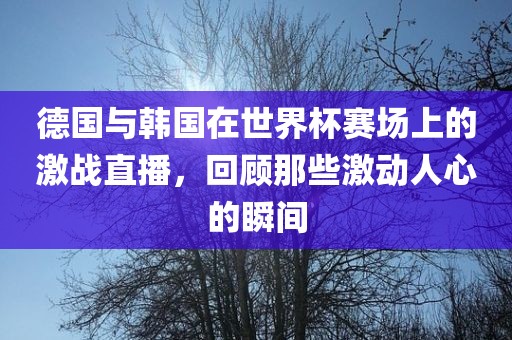 德国与韩国在世界杯赛场上的激战直播，回顾那些激动人心的瞬间