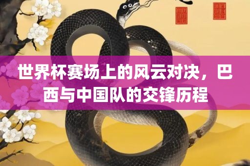 世界杯赛场上的风云对决，巴西与中国队的交锋历程