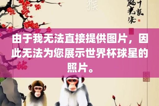 由于我无法直接提供图片，因此无法为您展示世界杯球星的照片。