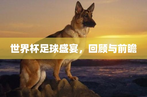 世界杯足球盛宴，回顾与前瞻