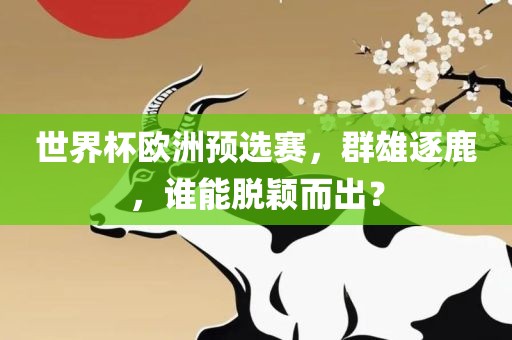 世界杯欧洲预选赛，群雄逐鹿，谁能脱颖而出？