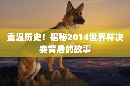 重温历史！揭秘2014世界杯决赛背后的故事