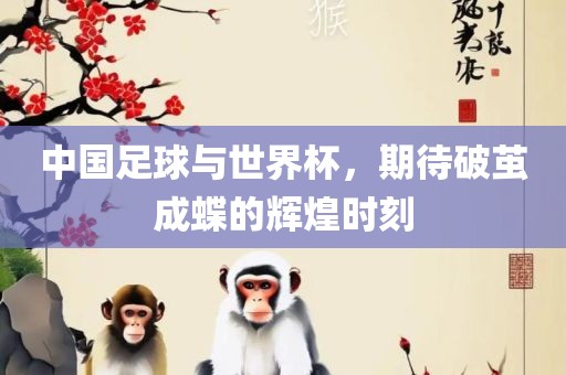中国足球与世界杯，期待破茧成蝶的辉煌时刻