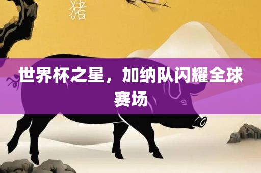世界杯之星，加纳队闪耀全球赛场