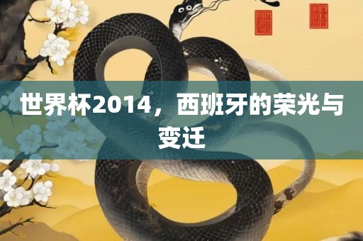 世界杯2014，西班牙的荣光与变迁