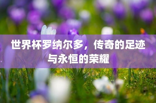 世界杯罗纳尔多，传奇的足迹与永恒的荣耀