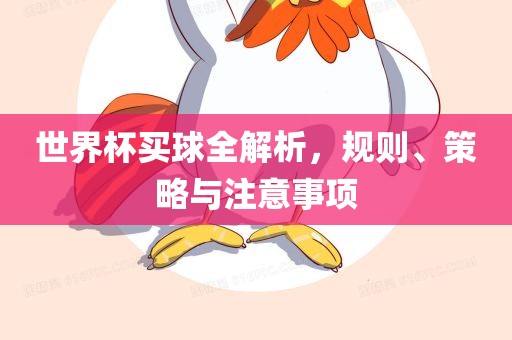 世界杯买球全解析，规则、策略与注意事项