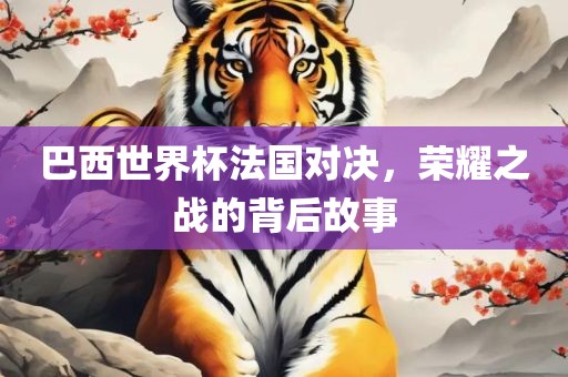 巴西世界杯法国对决，荣耀之战的背后故事