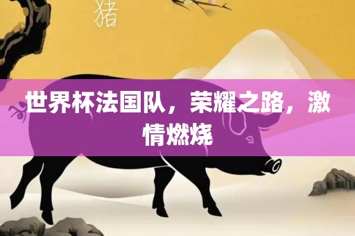 世界杯法国队，荣耀之路，激情燃烧