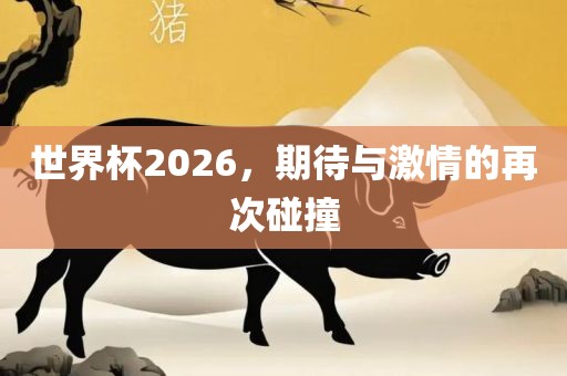 世界杯2026，期待与激情的再次碰撞