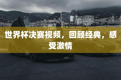 世界杯决赛视频，回顾经典，感受激情