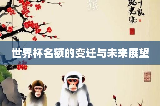 世界杯名额的变迁与未来展望