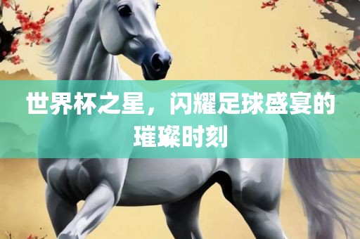 世界杯之星，闪耀足球盛宴的璀璨时刻