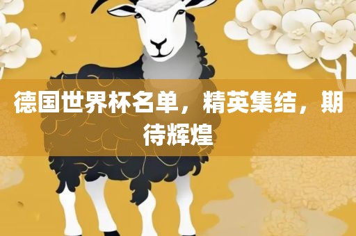德国世界杯名单，精英集结，期待辉煌