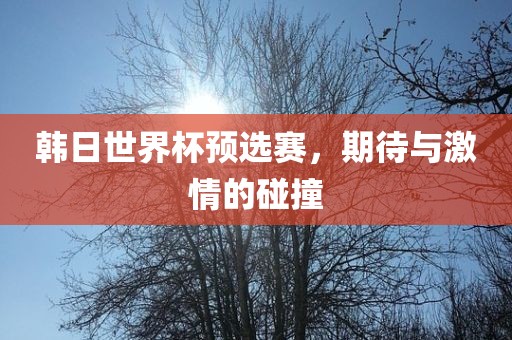 韩日世界杯预选赛，期待与激情的碰撞