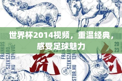 世界杯2014视频，重温经典，感受足球魅力