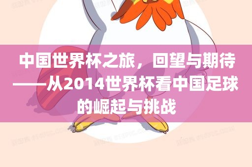 中国世界杯之旅，回望与期待——从2014世界杯看中国足球的崛起与挑战