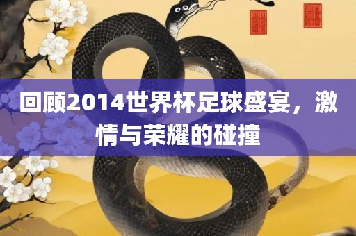 回顾2014世界杯足球盛宴，激情与荣耀的碰撞