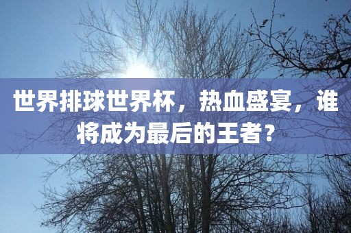 世界排球世界杯，热血盛宴，谁将成为最后的王者？