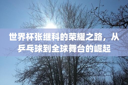 世界杯张继科的荣耀之路，从乒乓球到全球舞台的崛起