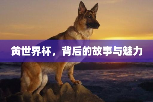 黄世界杯，背后的故事与魅力