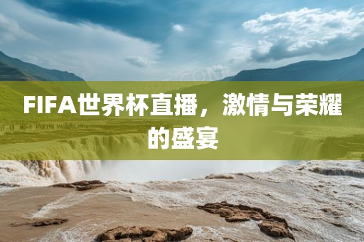 FIFA世界杯直播，激情与荣耀的盛宴