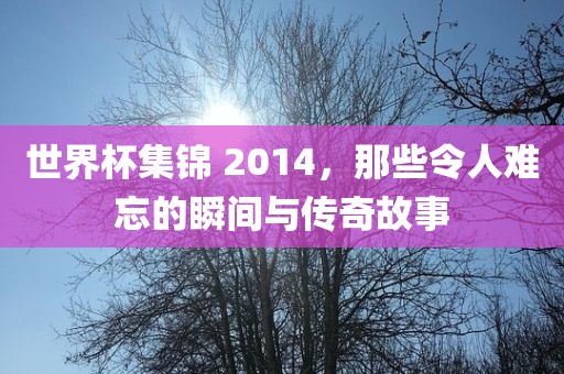 世界杯集锦 2014，那些令人难忘的瞬间与传奇故事